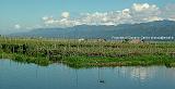 INLE LAKE -ORTI GALLEGGIANTI 5